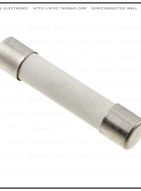 8020.5021.G【SHT 6.3X32 FUSE 10A T】