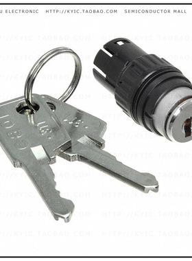 61-2205.0/D【CONFIG SW BODY KEYLOCK NON-ILLUM】