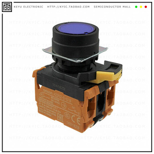 10A G202 PUSH DPST SWITCH TAA 120V A22NL BNA