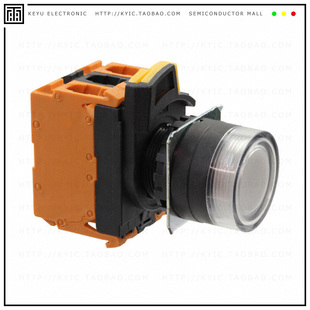 10A G202 PUSH DPST SWITCH TWA 120V A22NL BGA