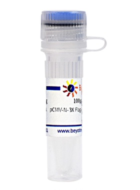 pCMV-N-3X Flag-Avi-SUMOEU1-MCS-IRES-BirA(生物素标记质粒)