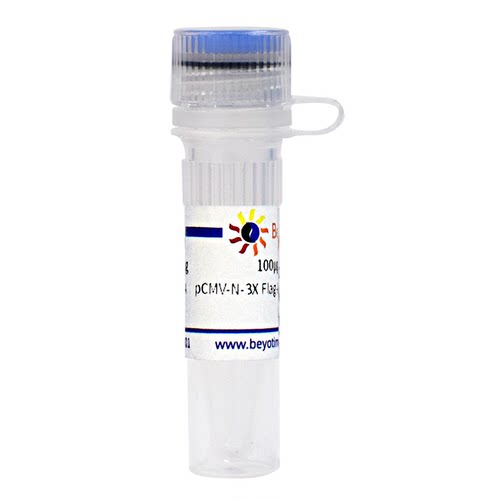 pCMV-N-3X Flag-Avi-SUMOEU1-MCS-IRES-BirA(生物素标记质粒)