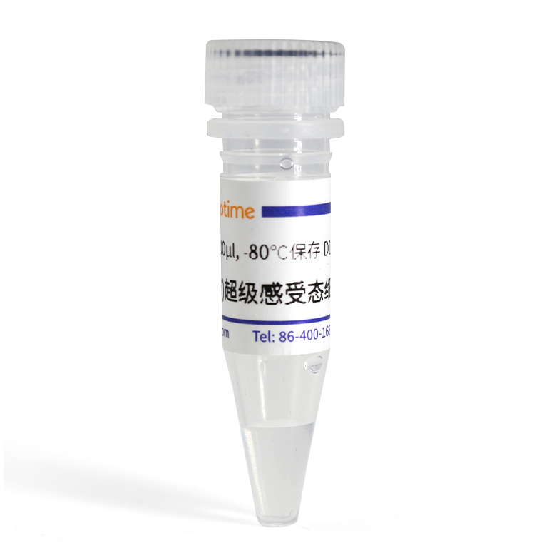 HT115(DE3)超级感受态细胞 碧云天 D1045