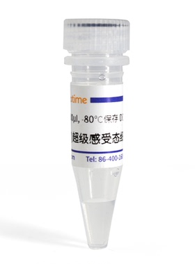 HT115(DE3)超级感受态细胞 碧云天 D1045