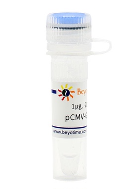 pCMV-GFP-p62 碧云天生物  D2817