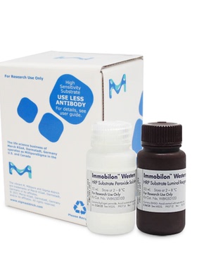 WBKLS0100 底物显色试剂