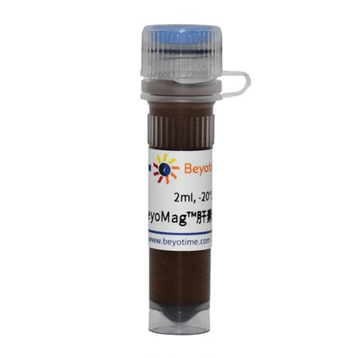 BeyoMag™肝素琼脂糖磁珠  P2167