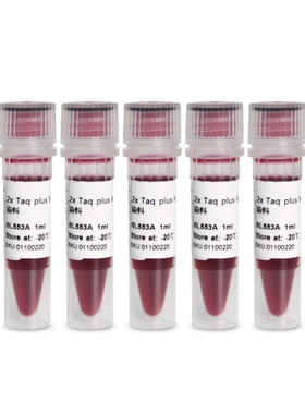 BL553B 2×Taq plus PCR Master Mix含染料