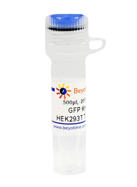 GFP Knockout HEK293T Trizol Lysate  碧云天 L00033