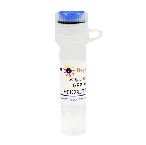 GFP Knockout HEK293T Trizol Lysate  碧云天 L00033