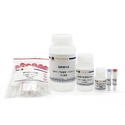 GST标签蛋白纯化试剂盒