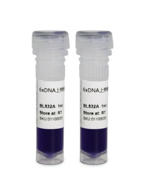 BL532A DNA上样缓冲液(6X)