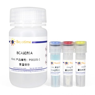 P0010 P0010S P0009碧云天生物 增强型 BCA蛋白浓度测定试剂盒