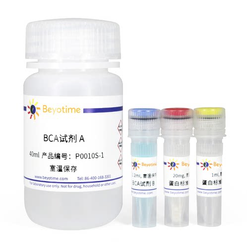 BCA蛋白浓度测定试剂盒(增强型) P0010S P0010 P0009碧云天生物