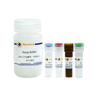 脂蛋白脂肪酶抑制剂筛选试剂盒(显色法)  S0599S 碧云天