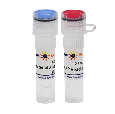 Bacterial Alkaline Phosphatase 碧云天 D7031