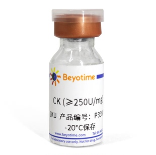 肌酸激酶(from rabbit muscle)碧云天 P3393