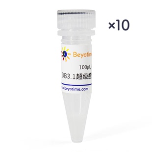 DB3.1超级感受态细胞 碧云天 D1025S