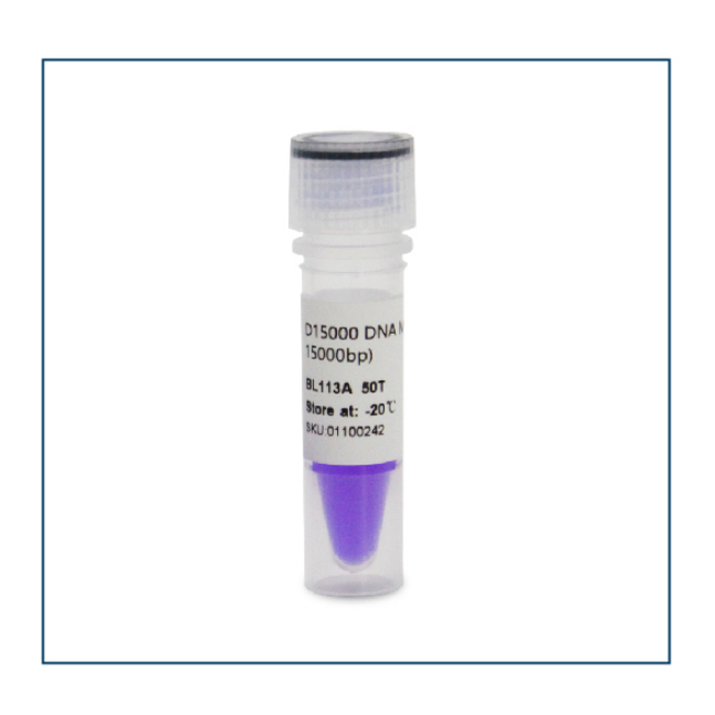 BL113A D15000 DNA Marker 分子量标准（250-15000bp）