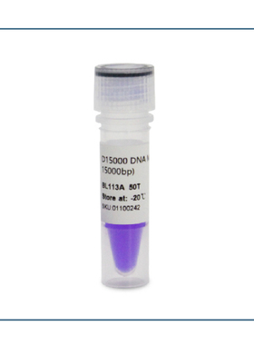 BL113A D15000 DNA Marker 分子量标准（250-15000bp）