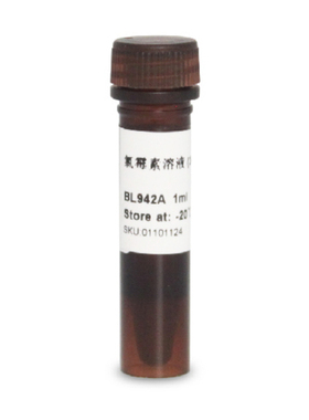 BL942A 氯霉素溶液（34 mg/ml）