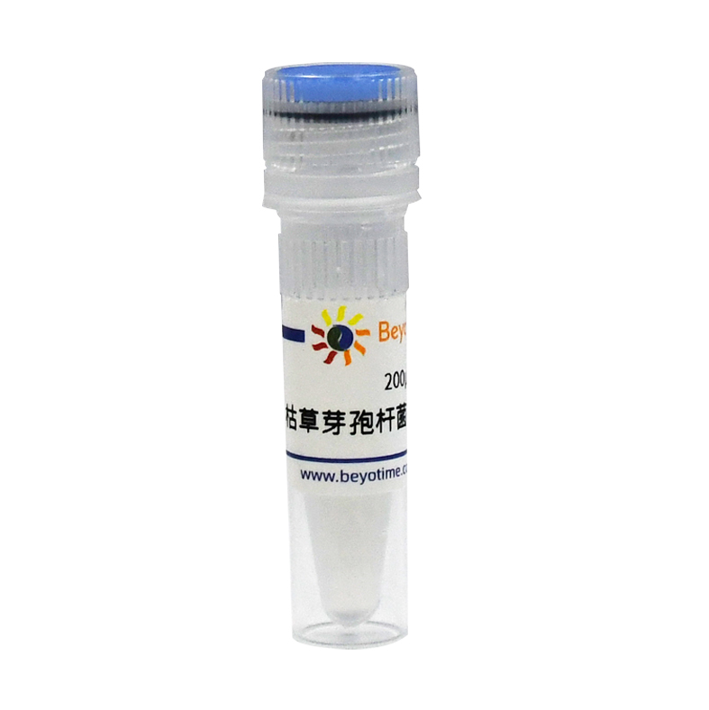 枯草芽孢杆菌WB800甘油菌 碧云天D0442