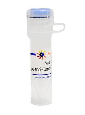 pLenti-Control-sgRNA 碧云天 L00011