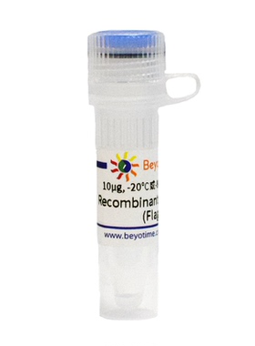 Recombinant Human NRas (Flag-Tag) 碧云天 P2401