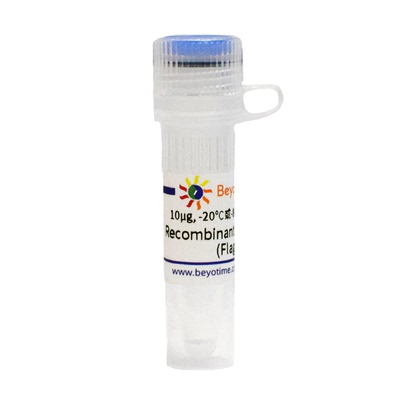 Recombinant Human NRas (Flag-Tag) 碧云天 P2401