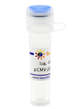 pCMV-jGCaMP7s (高灵敏度钙离子荧光探针)D2867 碧云天