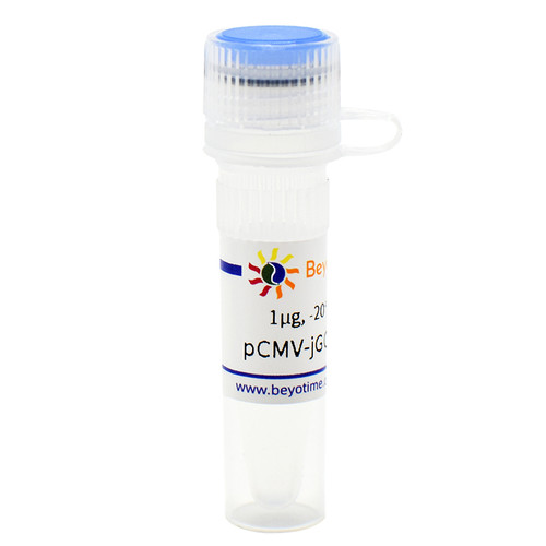 pCMV-jGCaMP7s (高灵敏度钙离子荧光探针)D2867 碧云天