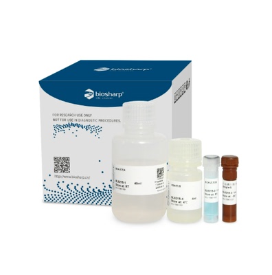 BCA蛋白浓度测定试剂盒包含BCA试剂A+B/PBS溶液 BL521S biosharp