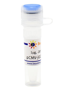pCMV-jGCaMP7c (高对比度钙离子荧光探针) D2863 碧云天