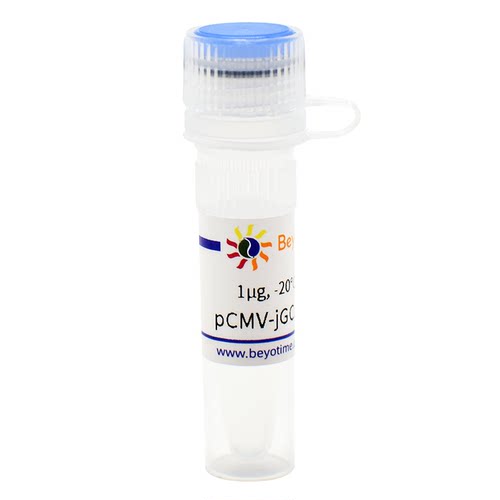 pCMV-jGCaMP7c (高对比度钙离子荧光探针) D2863 碧云天