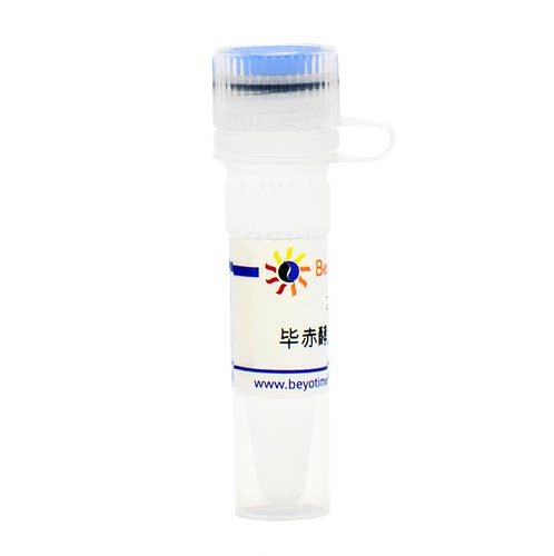 毕赤酵母X-33甘油菌 碧云天生物 D0414