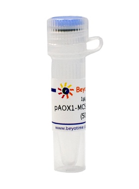 pAOX1-MCS-His-Amp&Zeo碧云天 D2883