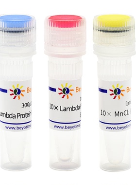 Lambda Protein Phosphatase 碧云天 P2316S  P2316M