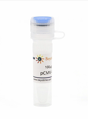pCMV-C-Flag 碧云天生物D2632