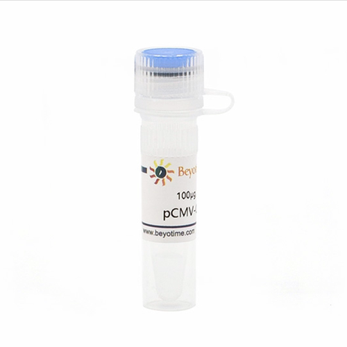 pCMV-C-Flag 碧云天生物D2632