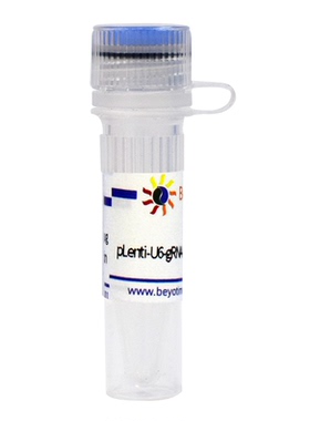 pLenti-U6-gRNA-Cas9-P2A-EGFP-Puro&Zeocin  碧云天D8303