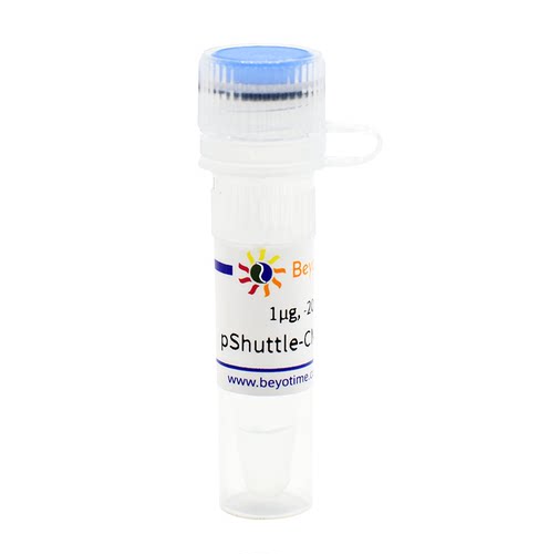 pShuttle-CMV-C-EGFP(腺病毒质粒，绿色荧光) 碧云天 D8117