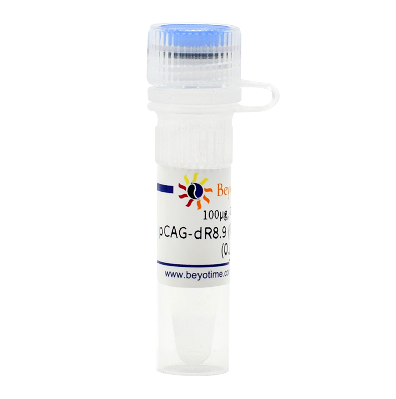 pCAG-dR8.9 (慢病毒包装用质粒)碧云天 D8216