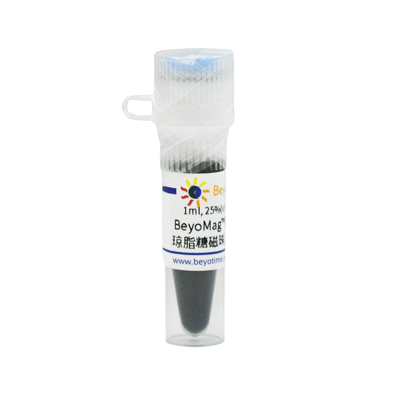 BeyoMag™磷酸化蛋白纯化琼脂糖磁珠(Phospho-tag™)碧云天 P1671