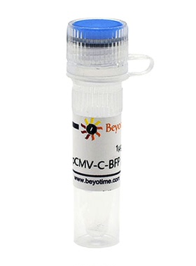 pCMV-C-BFP (蓝色荧光蛋白)   碧云天 D2621