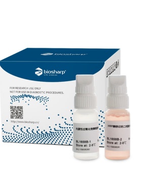 BL1658B 多聚物法免疫组化试剂盒(小鼠/兔)，即用型