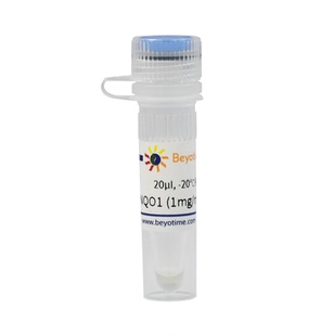 Recombinant Human NQO1 Protein 碧云天 P2395