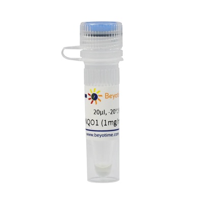 Recombinant Human NQO1 Protein 碧云天 P2395