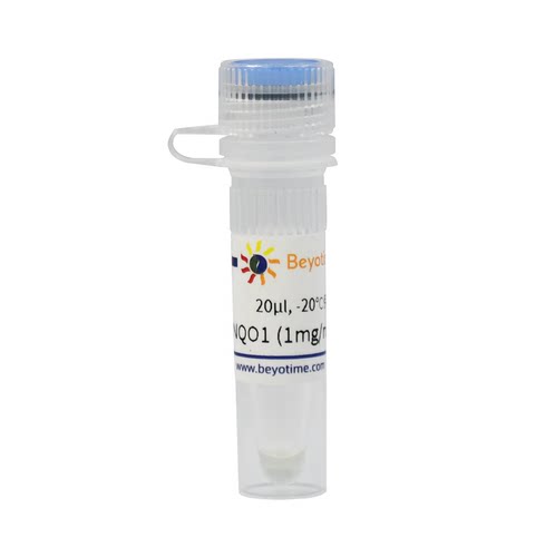 Recombinant Human NQO1 Protein 碧云天 P2395