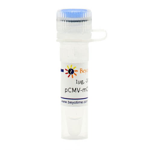 pCMV-mCherry-p62 碧云天生物 D2818