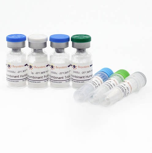 Recombinant Human IL-2 碧云天 P5115